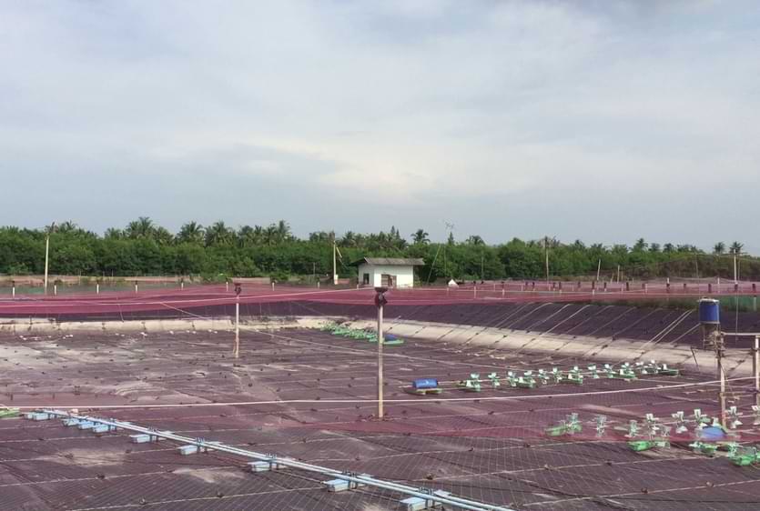 CẢI TẠO AO – XỬ LÝ NƯỚC ĐẦU VỤ NUÔI